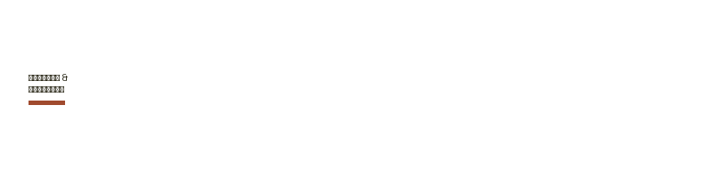 Сидоров и Васильев logo